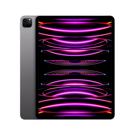APPLE iPad Pro 12,9" (2022) 256GB WiFi, SpG