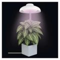 Rastúca lampa EMOS Z7901 Grow 5W