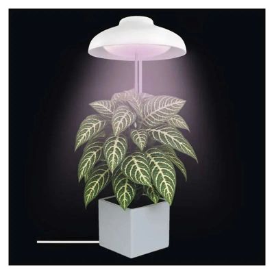 Rastúca lampa EMOS Z7901 Grow 5W
