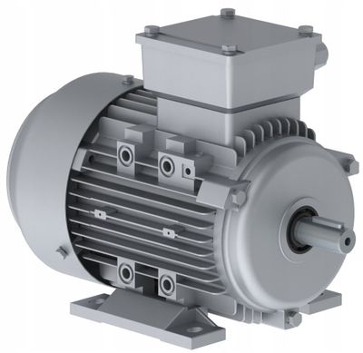 Elektromotor 1AML 802-6 0,55kW 1000 ot/min