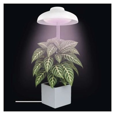 Rastúca lampa EMOS Z7901 Grow 5W