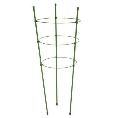 Podpera rastlín prstencová 75cm/3 prstene