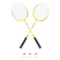 Súprava na bedminton REBEL RBA-4102