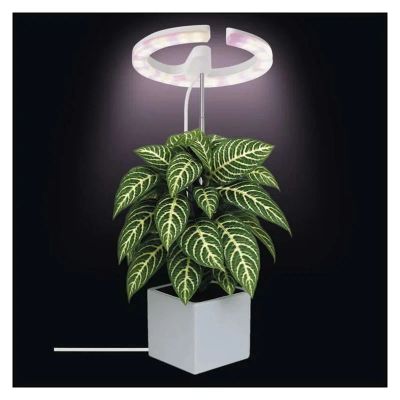 Rastúca lampa EMOS Z7902 Grow 8W