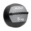 Medicinbal REBEL RBA-3107-5 5kg