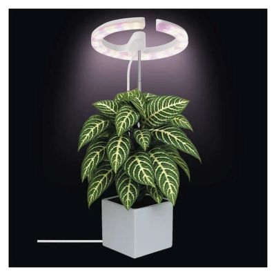 Rastúca lampa EMOS Z7902 Grow 8W