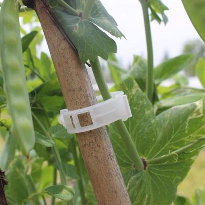 Viazacie pásky 4L 8070 plast 50 ks
