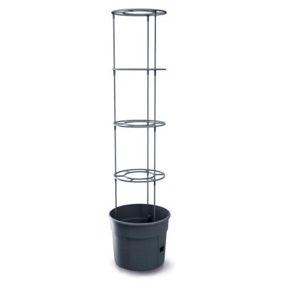 Kvetináč na pestovanie paradajok TOMATO GROWER antracit 29,5 cm