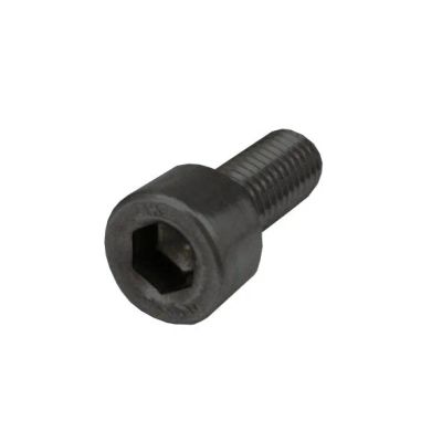 Skrutka imbus M8x25 A2 čierna