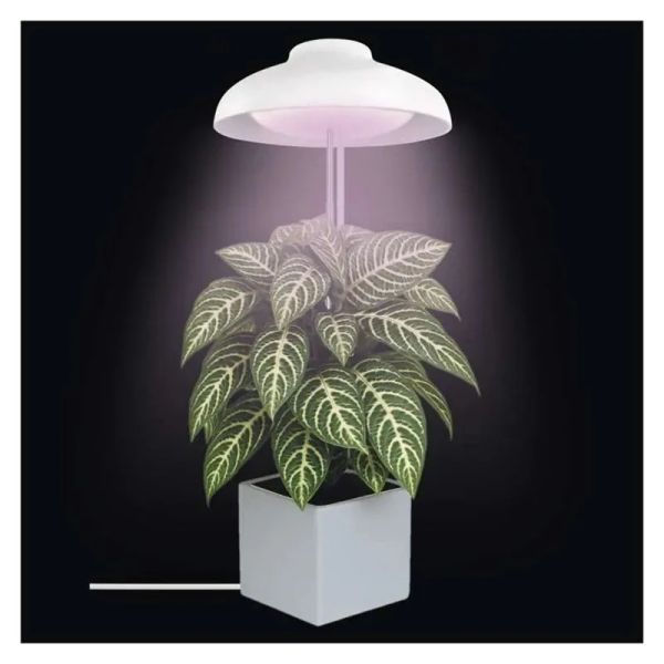 Rastúca lampa EMOS Z7901 Grow 5W