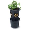 Kvetináč na pestovanie zemiakov POTATO GROWER antracit 29,5cm