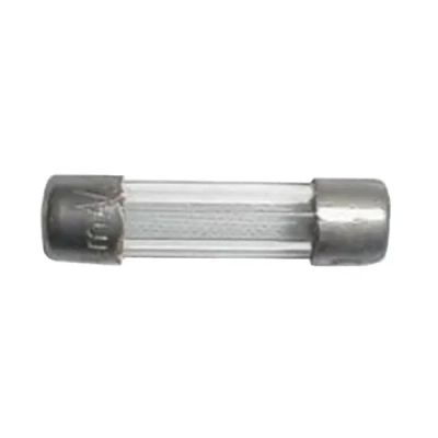 Poistka F 1,25 A