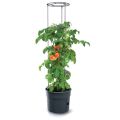 Kvetináč na pestovanie paradajok TOMATO GROWER antracit 29,5 cm