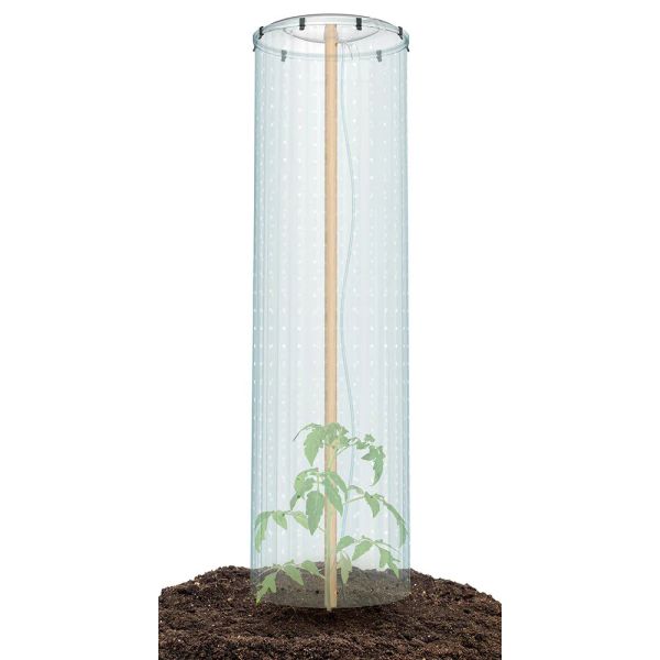 Súprava na pestovanie paradajok TOMATO GROWER CAP 38,5cm