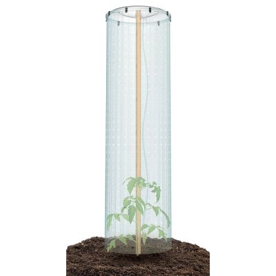Súprava na pestovanie paradajok TOMATO GROWER CAP 38,5cm