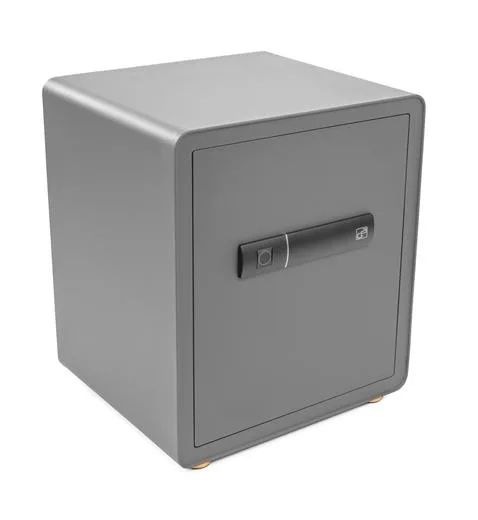 Trezor G21 na odtlačok prsta 400x450x350mm